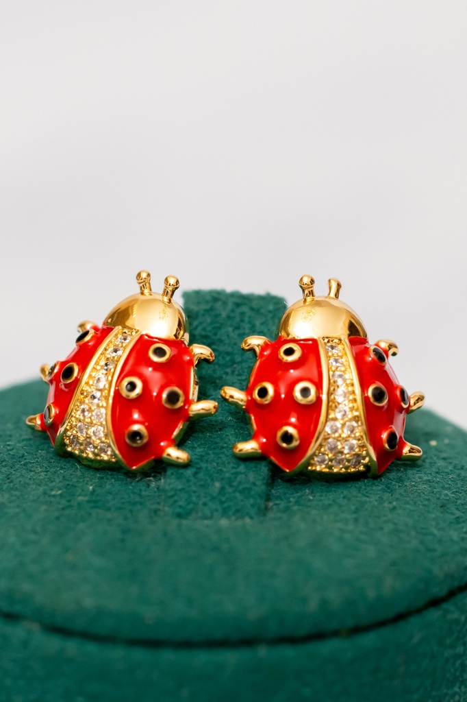 Arete Mariquita Grande